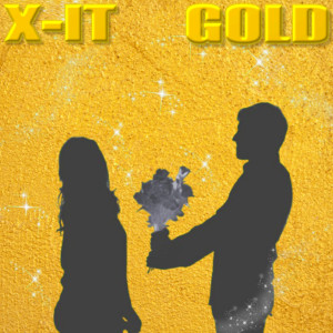 Album Gold from X-IT
