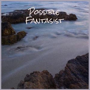 Various Artists的專輯Possible Fantasist