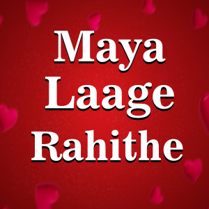 收聽Gaurishankar Kashyap的Maya Laage Rahithe歌詞歌曲