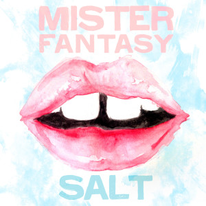 收聽Mister Fantasy的Salt歌詞歌曲