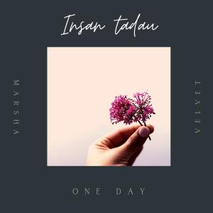 Listen to Insan Tadau song with lyrics from Velvet Aduk
