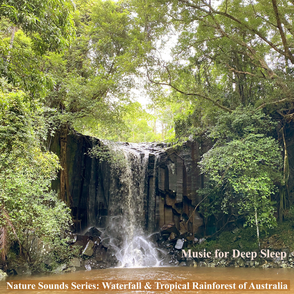 Waterfall at the Daintree Rainforest