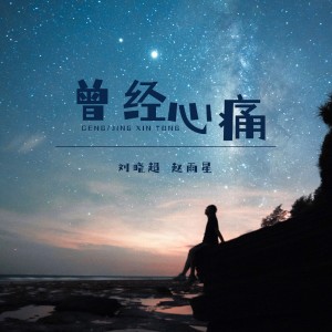 Listen to 曾经心痛 (DJ默涵版) song with lyrics from 刘晓超
