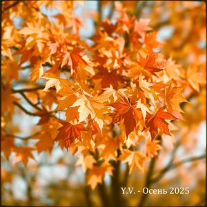 Listen to Осень 2025 song with lyrics from Y.V.