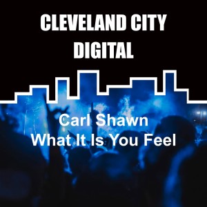 Carl Shawn的專輯What It Is You Feel