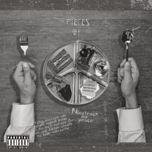 Ni Tevo的專輯Pieces Of Peace (Explicit)