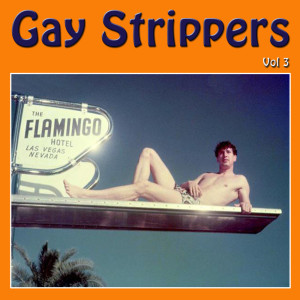 Gay Strippers, Vol. 3