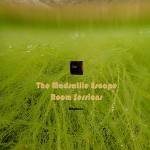 Dengarkan lagu Auf da Schattseitn bleib I ned nyanyian MadLane dengan lirik