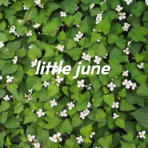 Listen to I'll Be Gone song with lyrics from Hawkshaw Hawkins
