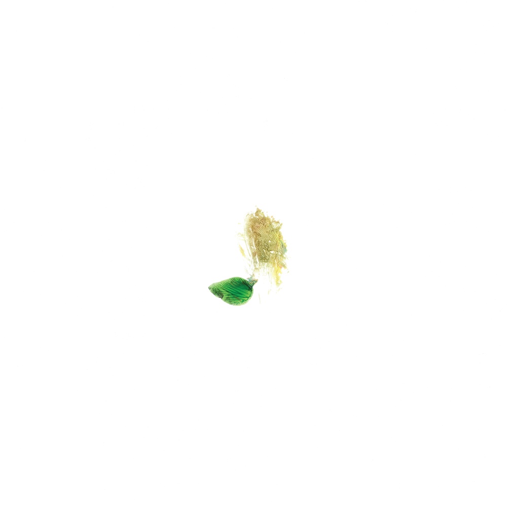 Variation No. 10