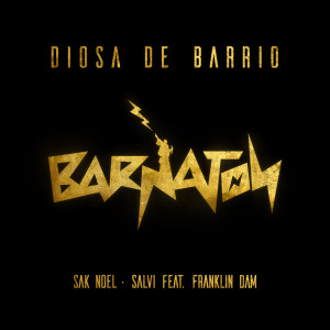 收聽Salvi的Diosa De Barrio歌詞歌曲