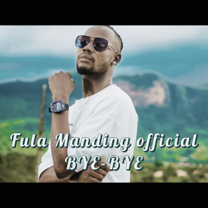 Listen to Bye-Bye song with lyrics from Fula Manding Official