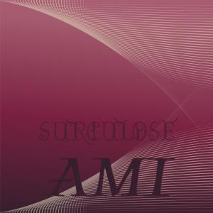 Various Artists的專輯Surculose Ami