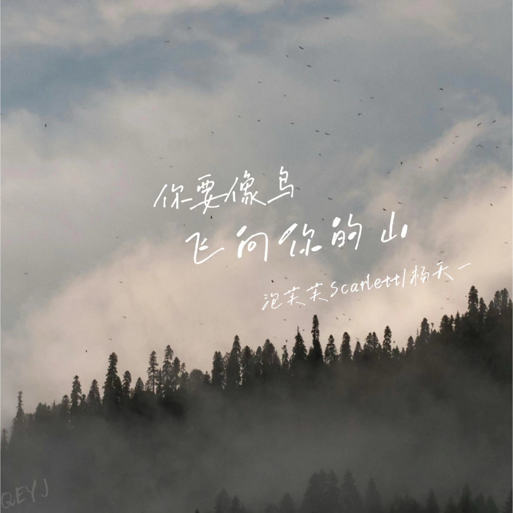 你要像鸟飞向你的山