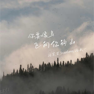 Listen to 你要像鸟飞向你的山 (伴奏) song with lyrics from 泡芙芙Scarlett