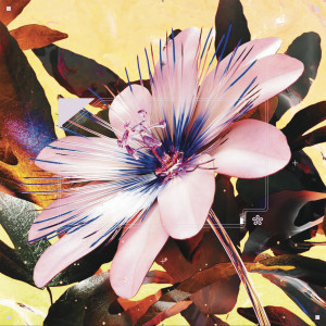 收聽Prudence的Passionfruit (Drake Cover)歌詞歌曲