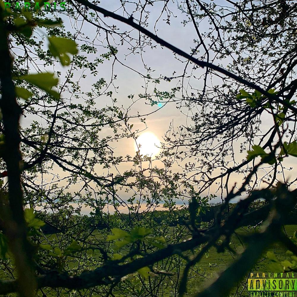 Paradis (Explicit)