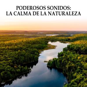 Poderosos Sonidos: La Calma De La Naturaleza
