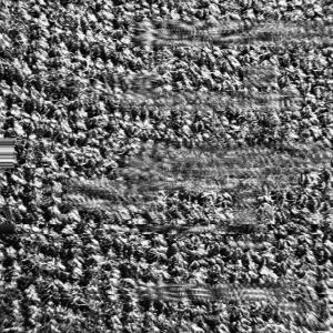 收聽Gust的Hiss歌詞歌曲