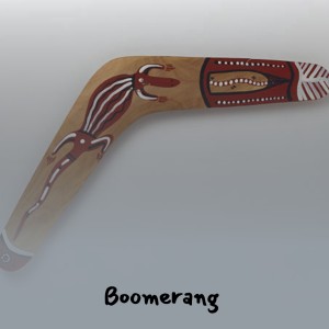 Album Boomerang from Various