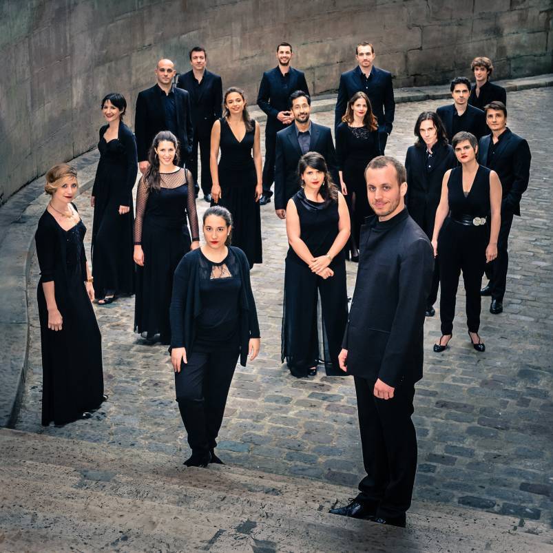 Ensemble Aedes