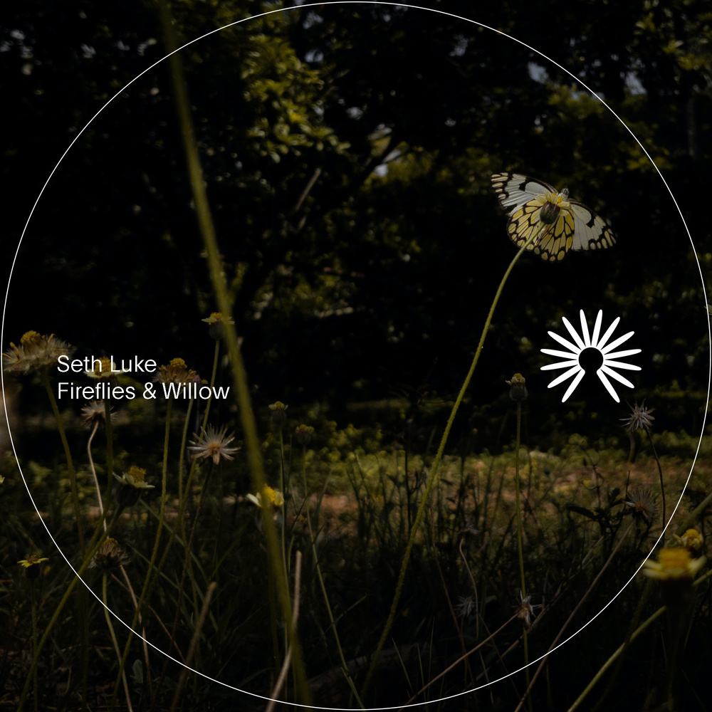 Willow (Instrumental Version)