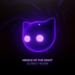 Dengarkan lagu middle of the night (slowed + reverb) nyanyian slowed + reverb mr cat dengan lirik