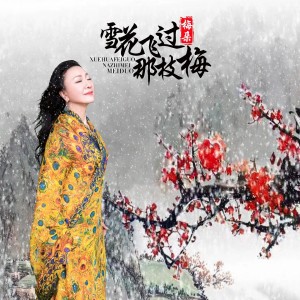 Dengarkan 雪花飞过那枝梅 (伴奏) lagu dari 梅朵 dengan lirik