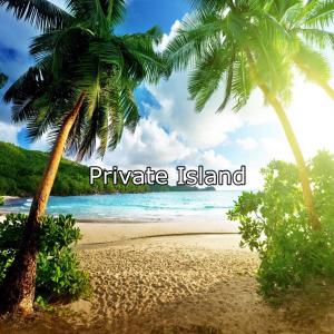 อัลบัม Private Island (feat. Ple Poppito) (Explicit) ศิลปิน Marion