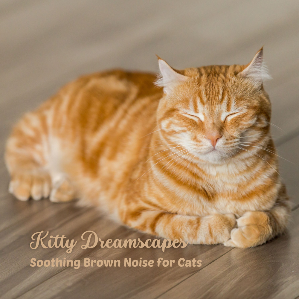 Melodic Path to Feline Bliss