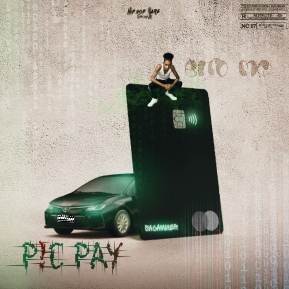 Pic Pay