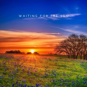Listen to Waiting For The Sun song with lyrics from Alice Weintraub