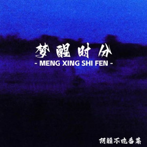 阿颖不吃香菜的专辑梦醒时分