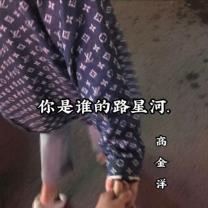 高金洋的專輯你是誰的路星河