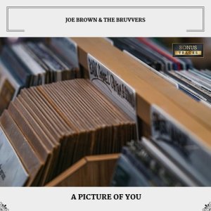Album A Picture Of You from Joe Brown & The Bruvvers