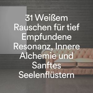 Album 31 weißem rauschen für tief empfundene resonanz, innere Alchemie und sanftes seelenflüstern from Weißes Rauschen