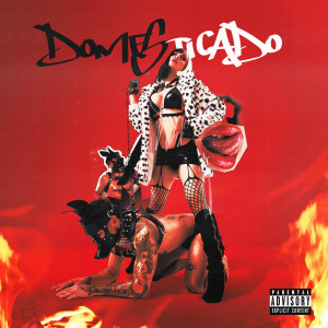 ดาวน์โหลดและฟังเพลง Domesticado (Explicit) พร้อมเนื้อเพลงจาก Anna Camaleón