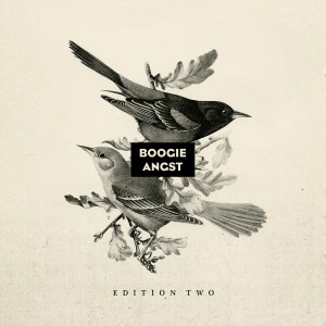 Various Artists的專輯Boogie Angst Edition Two
