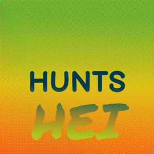 Album Hunts Hei from Various