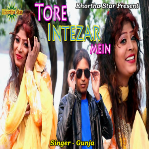 Listen to Bazarwa Hamar Sanghe song with lyrics from Gunja