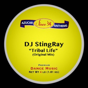 收聽DJ Stingray的Tribal Life歌詞歌曲
