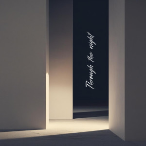 Listen to Through the night (Original Mix) song with lyrics from Stigya