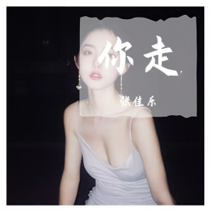 Dengarkan 你走 lagu dari 张佳乐 dengan lirik