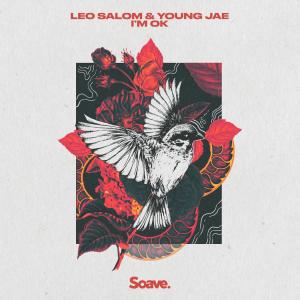 Listen to I'm Ok song with lyrics from Leo Salom