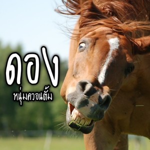 Listen to ดอง song with lyrics from Noom Quantum