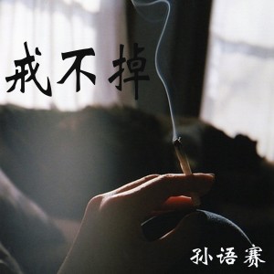 孫語賽的專輯戒不掉