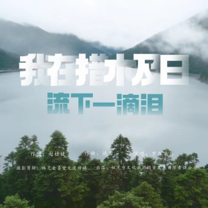 Album 我在措木及日留下一滴泪 from 