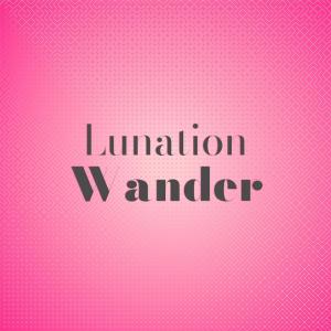 收聽Denie Vase的Lunation Wander歌詞歌曲