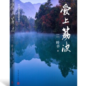 Album 爱 上 荔 波 from 王兴飞