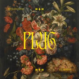 อัลบัม PLUG (feat. Kaeyel) [Explicit] ศิลปิน Deezo Woods